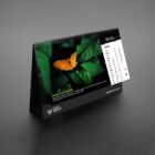 2025 Desk Calendar 1