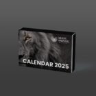 2025 Desk Calendar 5